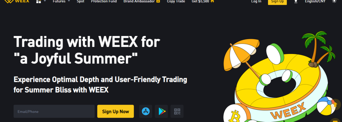 WEEX Review