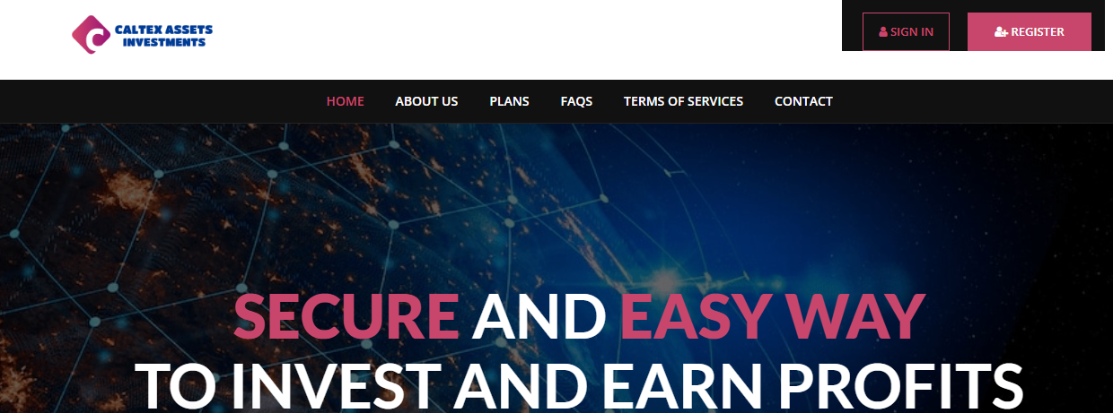 Caltex Assets Investments Review