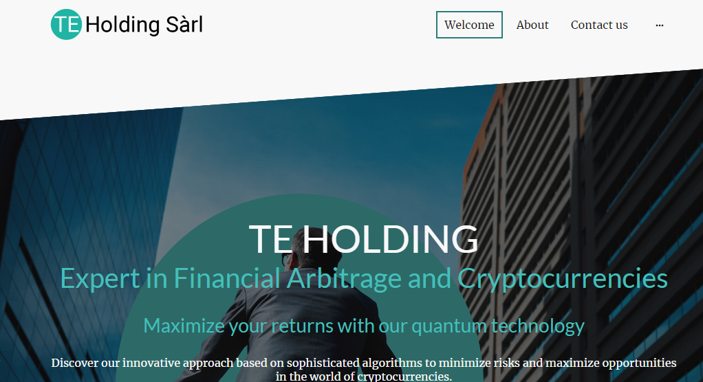 TE Holding Review