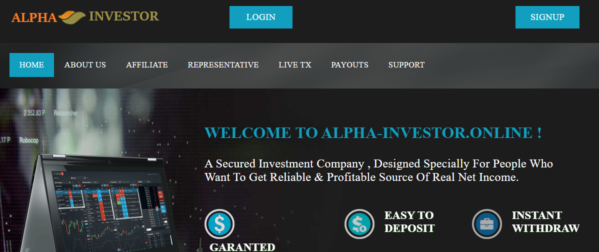 Alpha Investor Review