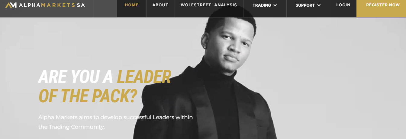 Alpha Markets Review
