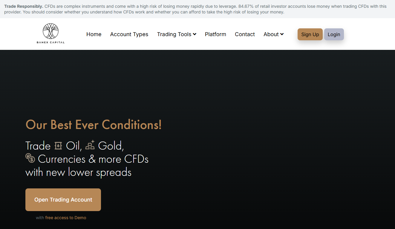 BANEX CAPITAL LTD