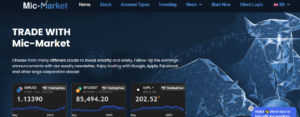 Mic Market Review